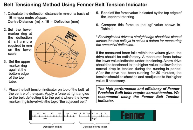 Belt Testing Guide Services